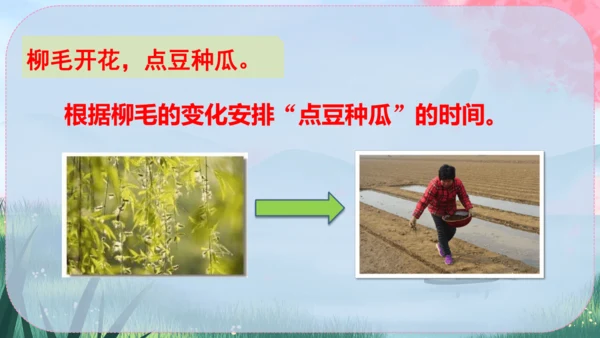 5《大自然的语言》课件