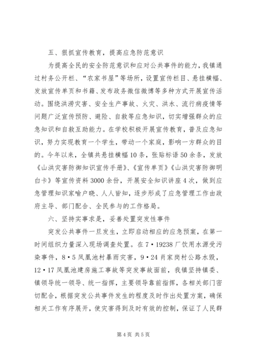 乡镇年度安全应急管理工作总结_1.docx