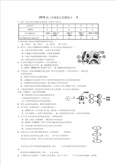 高三生物重点套题练习4