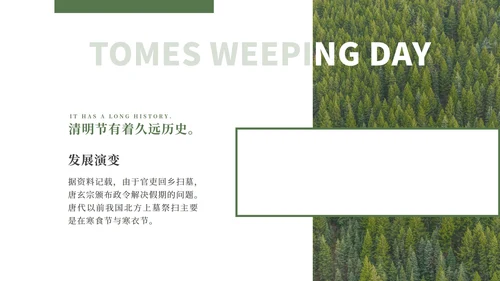 绿色大气清新绿植清明节主题PPT模板