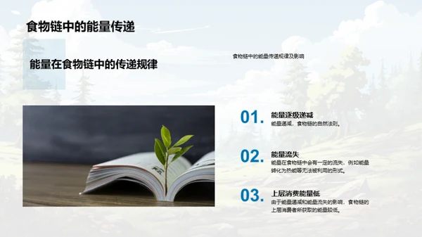 生态平衡与食物链