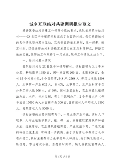 城乡互联结对共建调研报告范文.docx