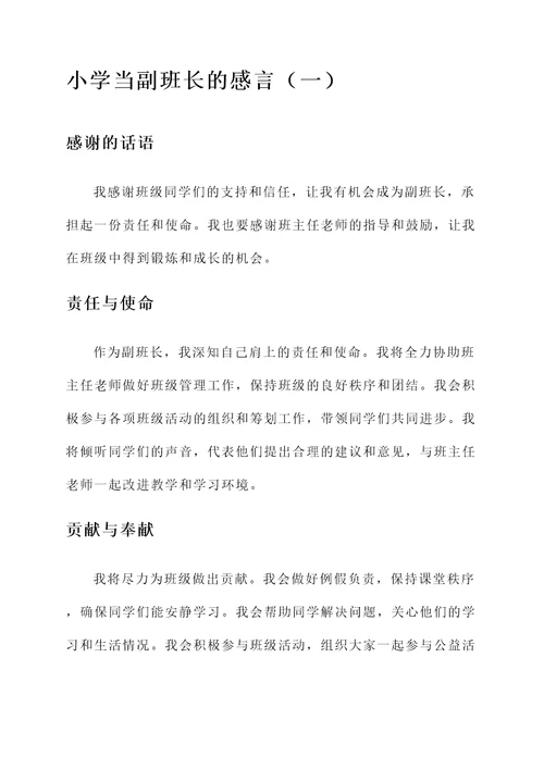 小学当副班长的感言