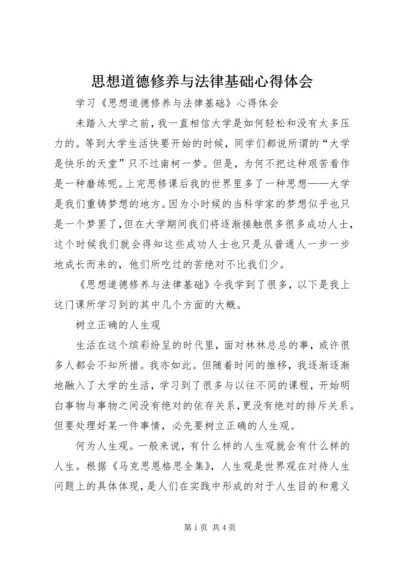 思想道德修养与法律基础心得体会 (4).docx