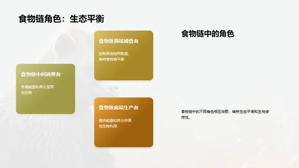 简约风其他行业教学课件PPT模板