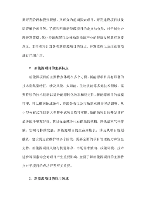 新能源项目开发指引.docx