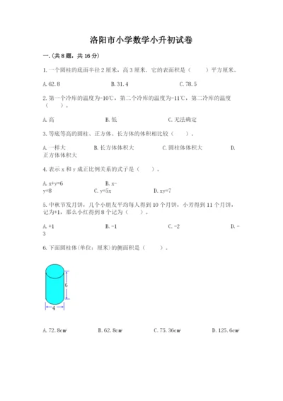 洛阳市小学数学小升初试卷（能力提升）.docx