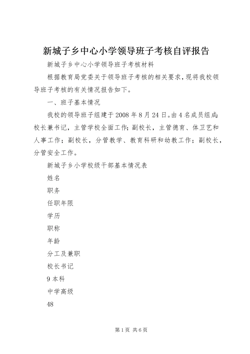 新城子乡中心小学领导班子考核自评报告.docx