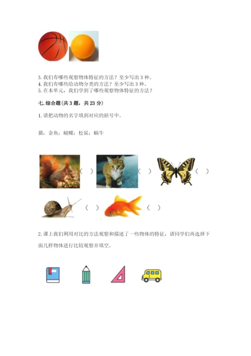 教科版小学科学一年级下册期末测试卷精品（名校卷）.docx