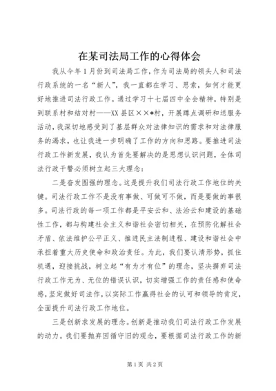 在某司法局工作的心得体会.docx