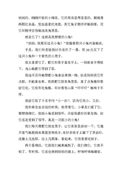 小学学作文700字