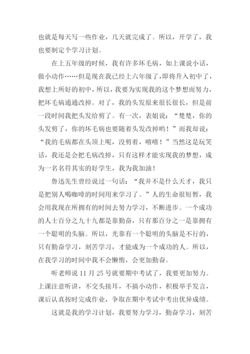 学习计划作文600字.docx