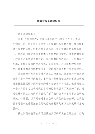 销售业务员述职报告.docx