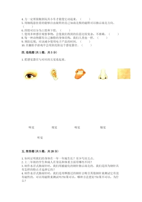教科版小学科学二年级下册 期末测试卷（有一套）.docx