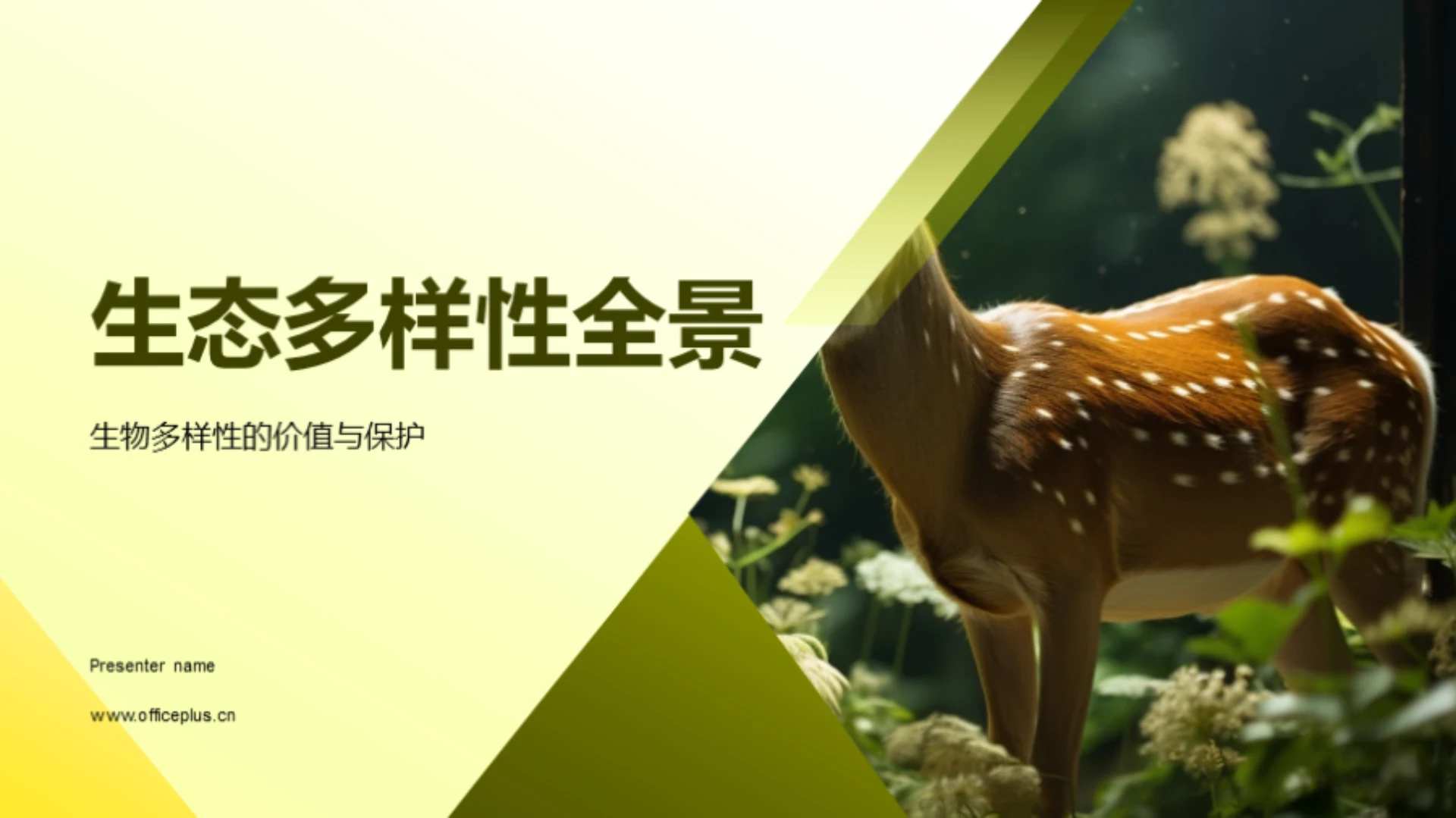 生态多样性全景