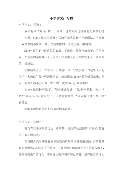 小学作文：写物.docx