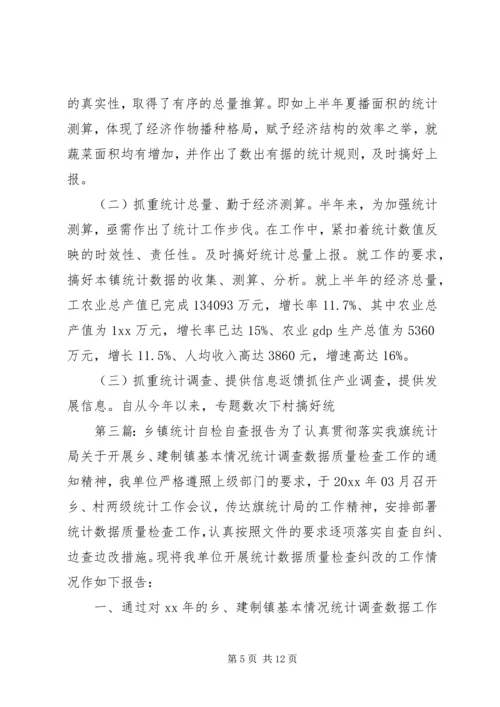 乡镇统计自检自查报告.docx