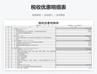 税收优惠明细表