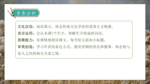 【核心素养】部编版语文四年级下册-21.芦花鞋（课件）