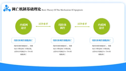 蓝绿色简约风生物学毕业答辩ppt模板