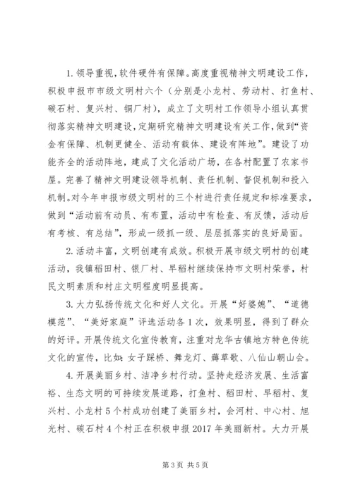 乡镇意识形态工作自查报告.docx