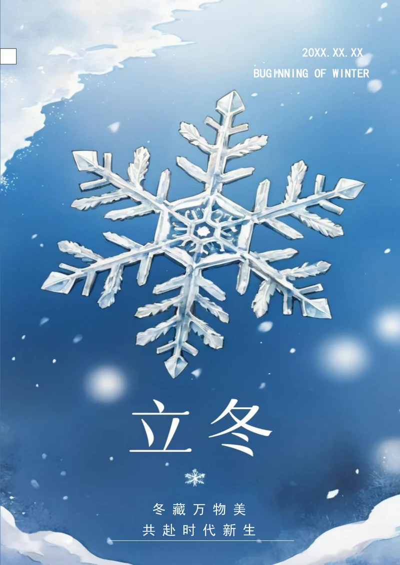白色雪花立冬海报