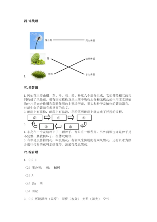 科学四年级下册第一单元植物的生长变化测试卷及参考答案【考试直接用】.docx