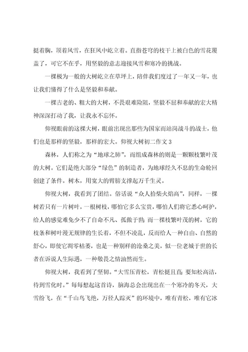 仰望大树初二作文