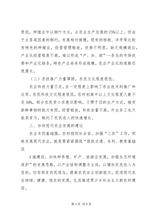 乡长调研报告(6000字).docx