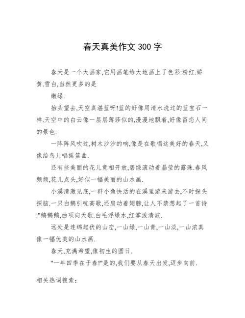 春天真美作文300字.docx