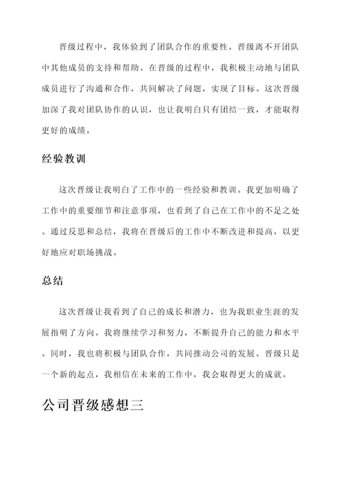 公司晋级感想