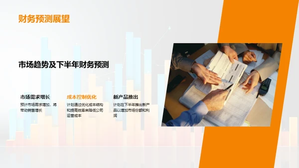 财务半年度分析