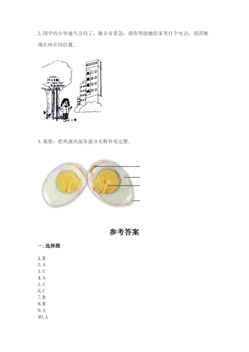 教科版科学三年级下册 期末测试卷精品（夺冠系列）.docx