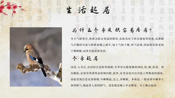 黄色中国风花卉冬季养生带内容PPT模板