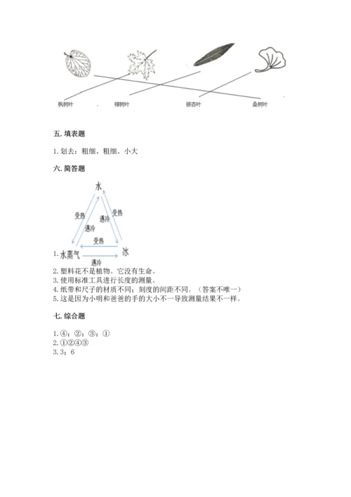 教科版科学一年级上册期末测试卷附完整答案（全国通用）.docx