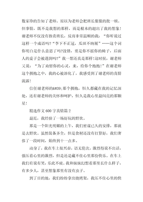 2024年精选作文600字真情
