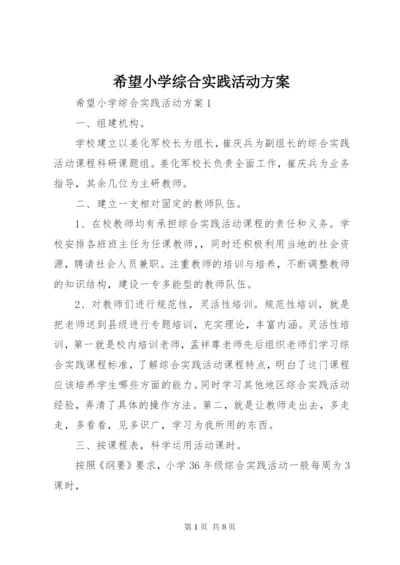 希望小学综合实践活动方案.docx