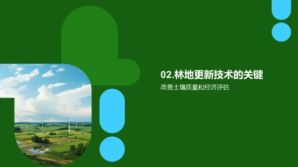 林地更新技术探索