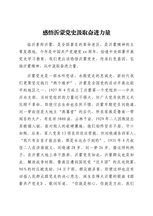 党史党课：感悟沂蒙党史 汲取奋进力量.docx