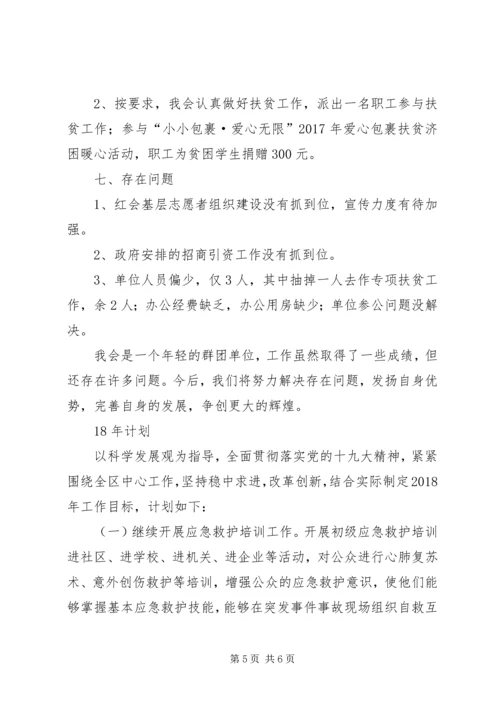 红十字会XX年工作总结XX年计划.docx