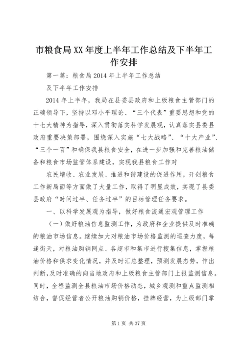 市粮食局XX年度上半年工作总结及下半年工作安排.docx