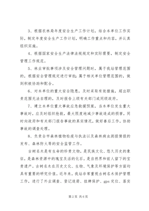 林业站安全生产工作总结及工作计划 (2).docx