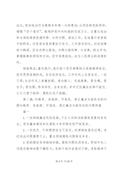 讲规矩守纪律做知敬畏存戒惧守底线的合格党员.docx