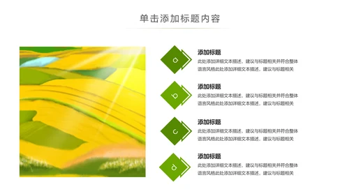 美丽新农村建设城镇优化振兴乡村PPT模板