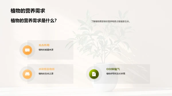 揭秘植物生长奇观