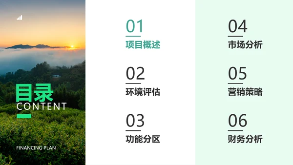 商务风图文旅游项目融资策划书