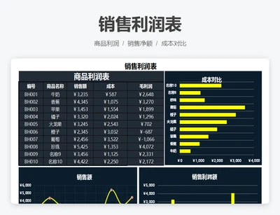 销售利润表