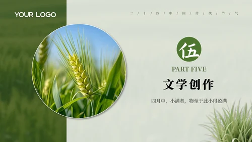 绿色小满节气介绍通用模板
