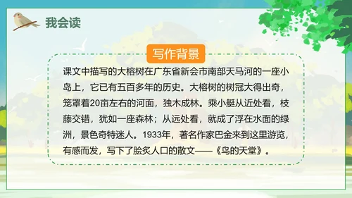 人教版语文四年级上册鸟的天堂课件PPT模板