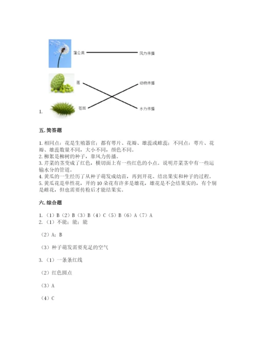 科学四年级下册第一单元植物的生长变化测试卷（综合题）.docx